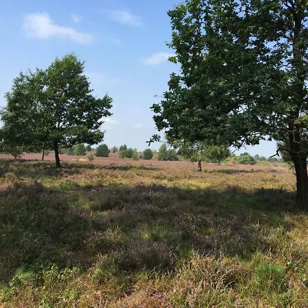 Timmerloher Heide *
