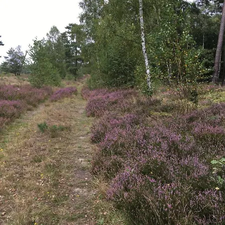 Timmerloher Heide *