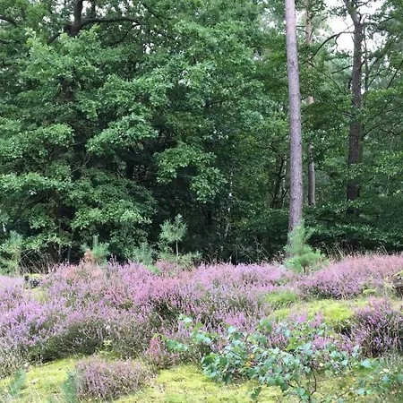 Apartment Timmerloher Heide Soltau