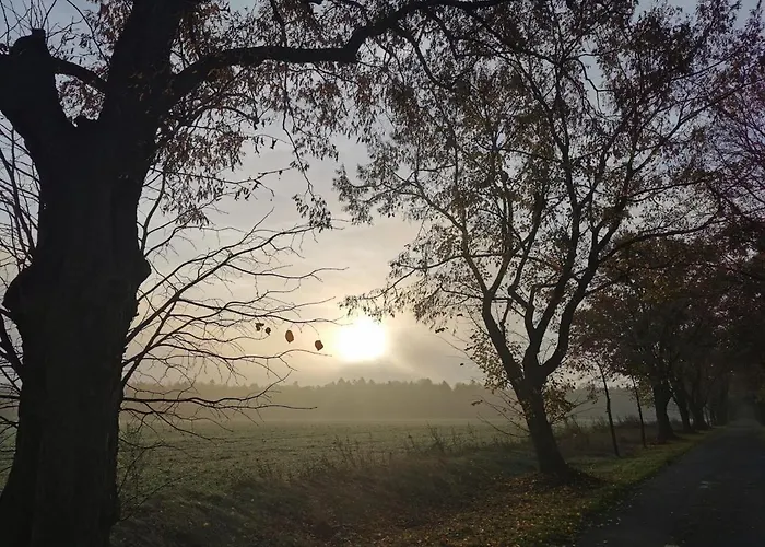 Timmerloher Heide Appartement Soltau