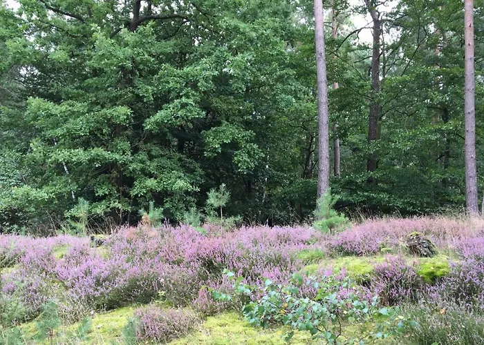 Appartement Timmerloher Heide Soltau